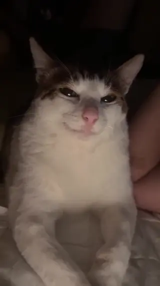 schyler_reighn leaked video, frame 4