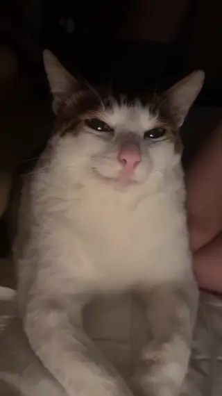 schyler_reighn leaked video, frame 5
