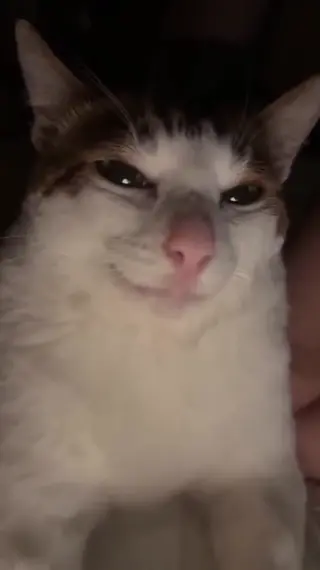 schyler_reighn leaked video, frame 6