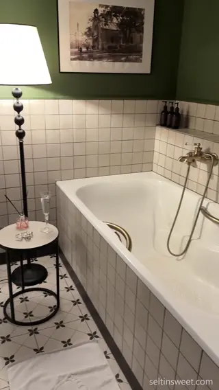 selti leaked video preview