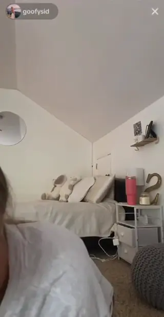 sentnertwins leaked video preview