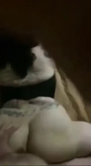 shadyshainarae leaked video preview