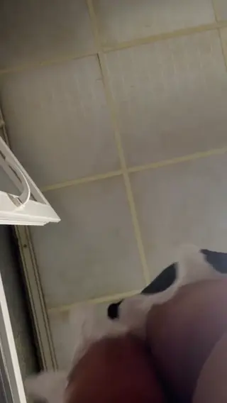 shebulkk leaked video, frame 5