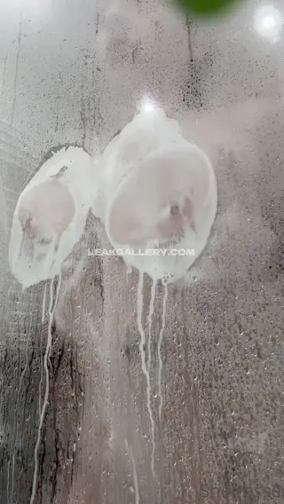 sheiseijas leaked video, frame 2