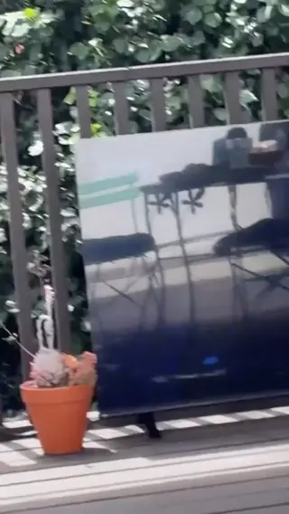 shiadanni leaked video, frame 3