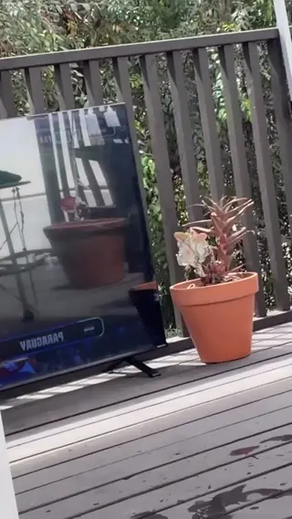 shiadanni leaked video, frame 6