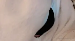 shunli__mei leaked video, frame 2