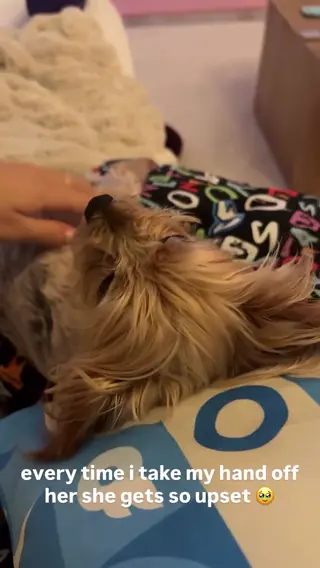 stellahudgens leaked video preview