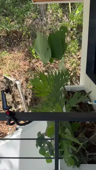 stephinspace leaked video preview