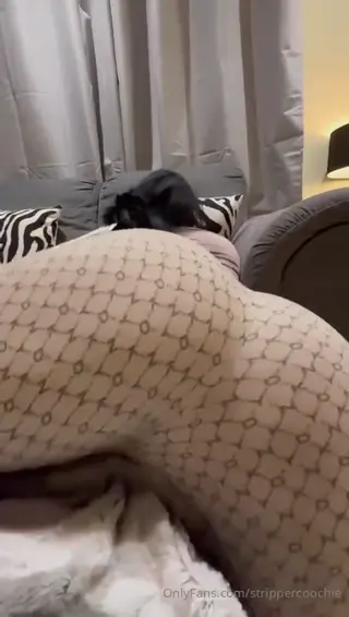 strippercoochie leaked video preview