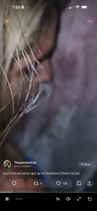strippercoochie leaked video preview