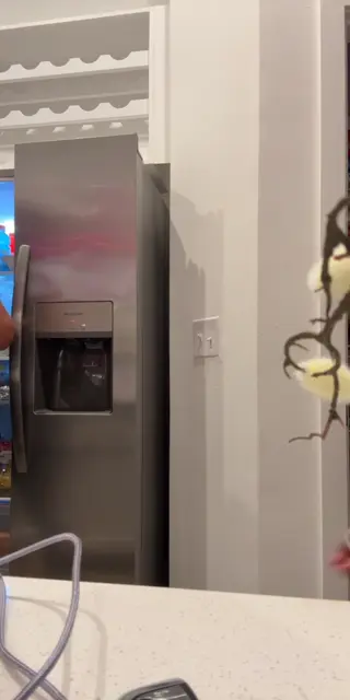 ___suty__ leaked video, frame 4