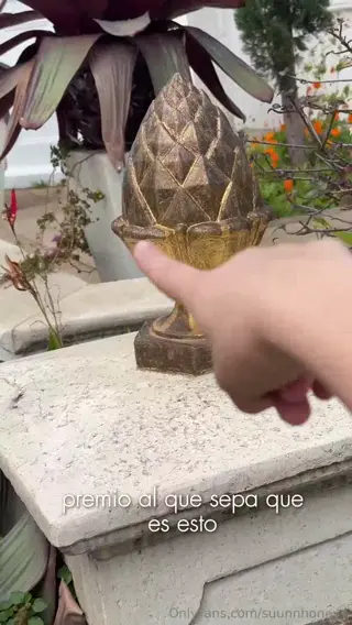 suunnhoneyy leaked video preview