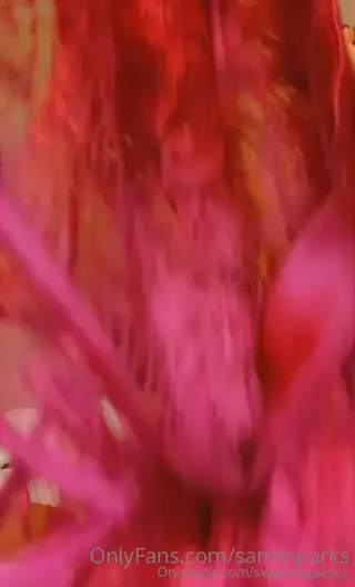 swammyparks leaked video, frame 5