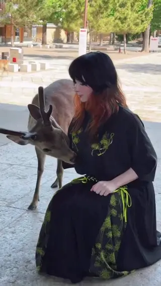 sweetiefox leaked video preview
