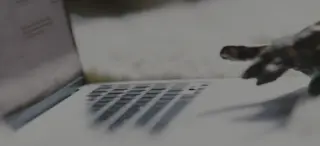 sydneysweeney leaked video, frame 5