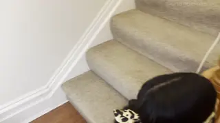 tattiroana1 leaked video, frame 5