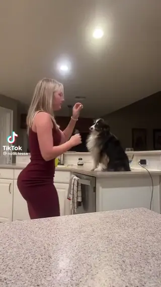 tessanied leaked video preview