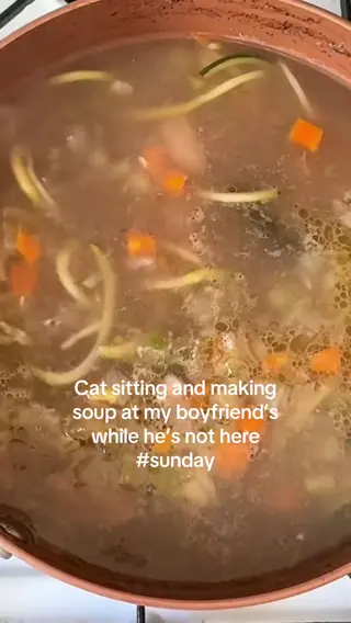 thebirdsndbees leaked video, frame 2