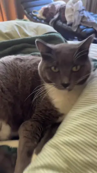 thebirdsndbees leaked video, frame 4