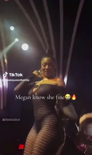 theestallion leaked video preview