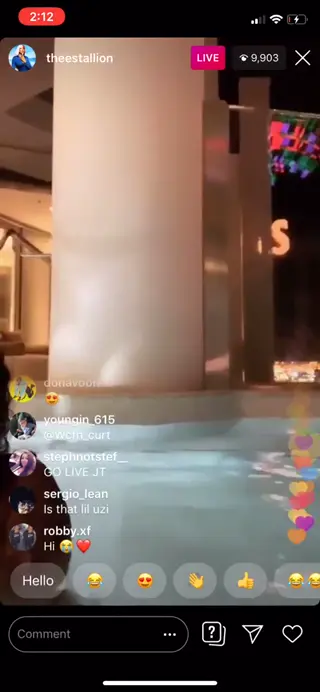 theestallion leaked video, frame 3
