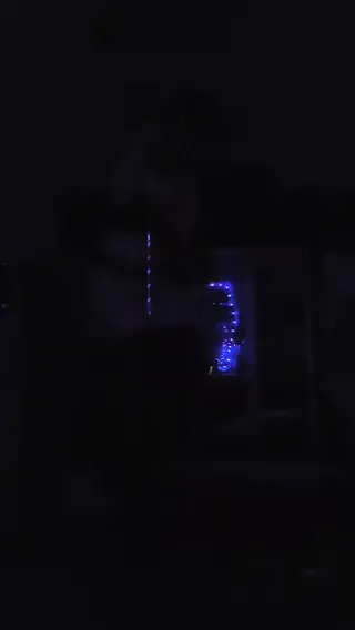 theygayfurry leaked video, frame 2