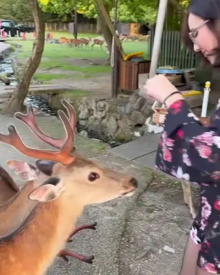 tiemiau leaked video, frame 4