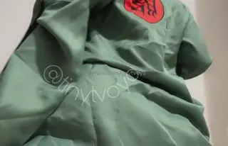 tinytvoya leaked video, frame 4