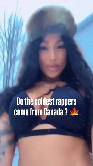 tinywiings leaked video, frame 3