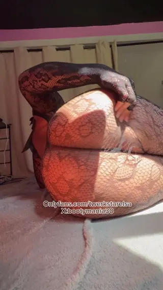 twerkstarelsa leaked video preview