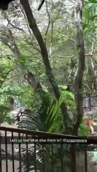veradijkmansofficial leaked video preview