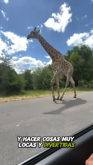 veronicaweffer leaked video, frame 6