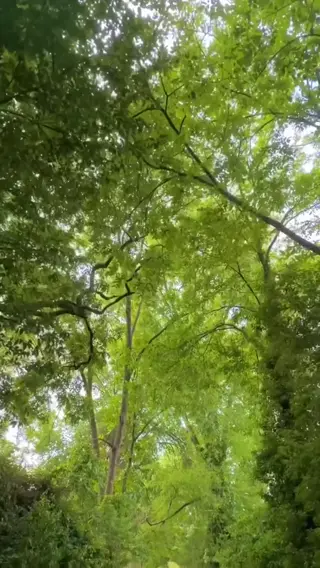 vicky_palacio leaked video, frame 6