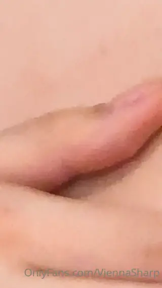 viennasharp leaked video, frame 4