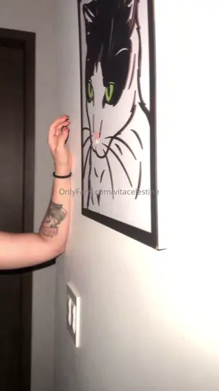 vitacelestine leaked video preview
