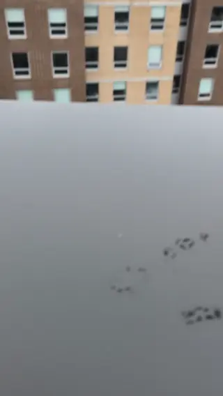 voyeurism leaked video preview