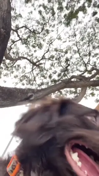 wendyespinozac leaked video, frame 6