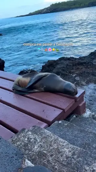 wendyespinozac leaked video, frame 5
