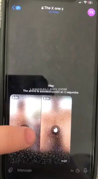 whipitdev leaked video preview