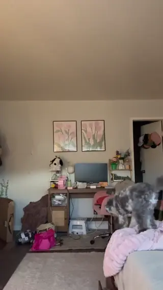 whipitdev leaked video preview