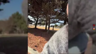 winter11 leaked video, frame 2