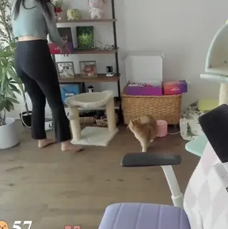 xchocobars leaked video preview