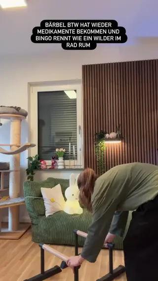 xfibii leaked video preview