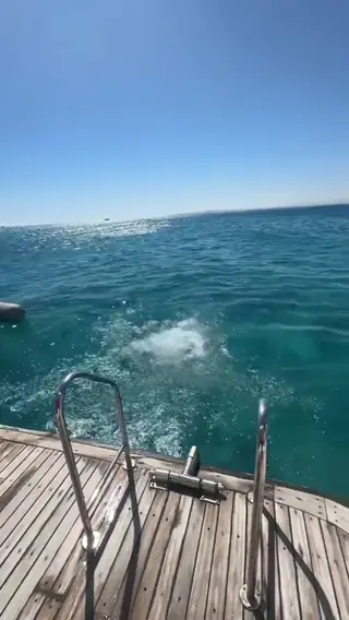 xfibii leaked video preview