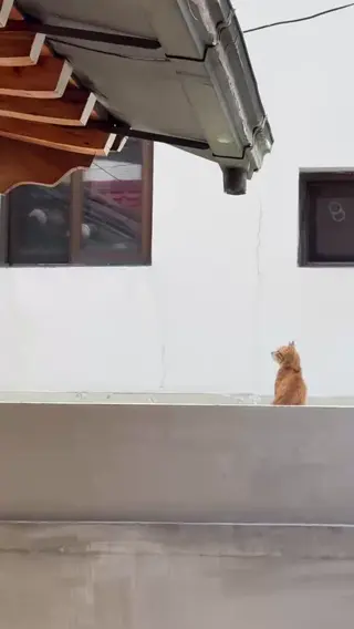 xxapple leaked video, frame 6