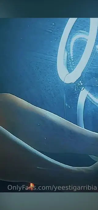 yeestigarribia leaked video, frame 6