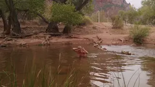 yrsaclicks leaked video, frame 2