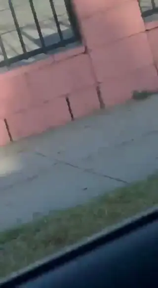 yungthicksht leaked video, frame 5