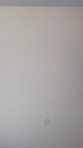 zdank leaked video, frame 1